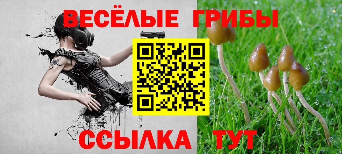 Меф   ГАШИШ  Альфа ПВП СОЛЬ кристаллы  ГАШ  Вход с VPN  Бошки Шишки  Дзержинский  Cocaine  МЕТАМФЕТАМИН 