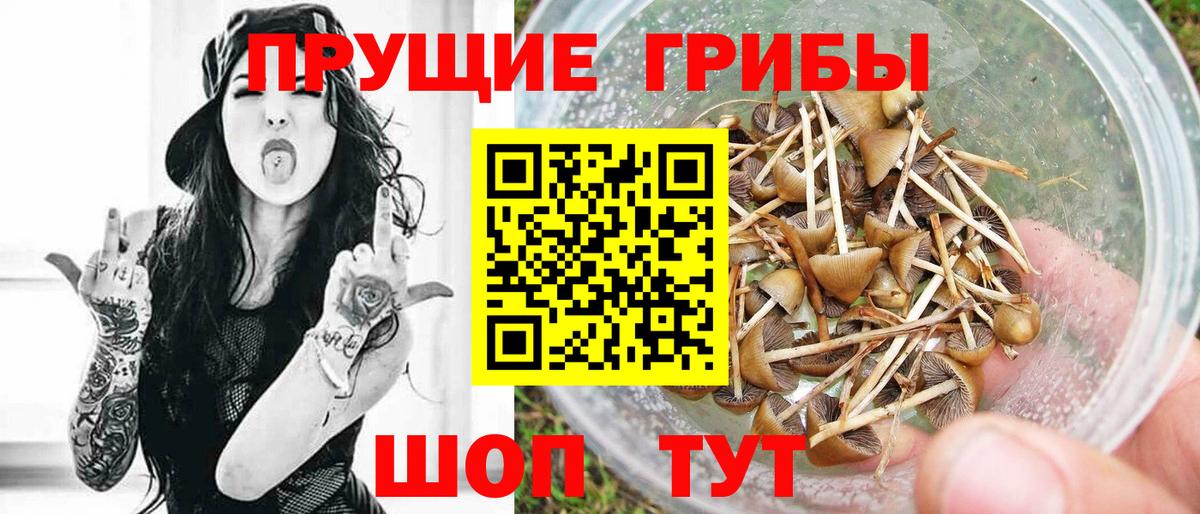 Псилоцибиновые грибы Cubensis  Вход с VPN  Дзержинский 