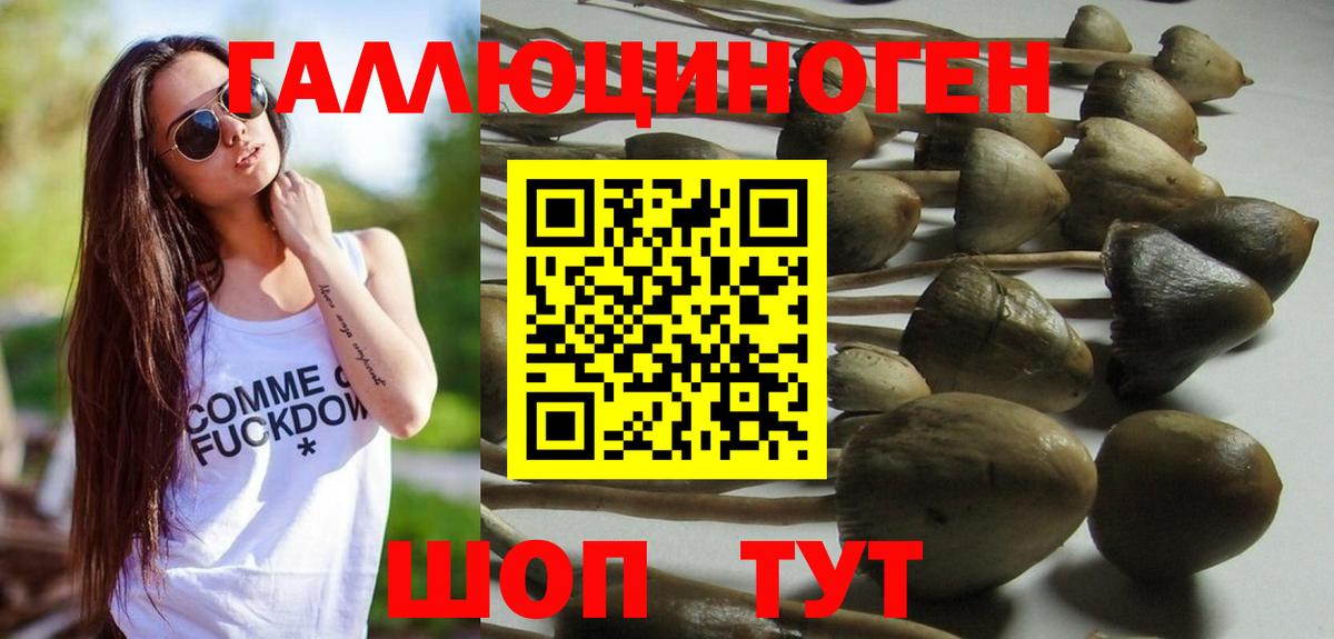 Псилоцибиновые грибы MAGIC MUSHROOMS Дзержинский